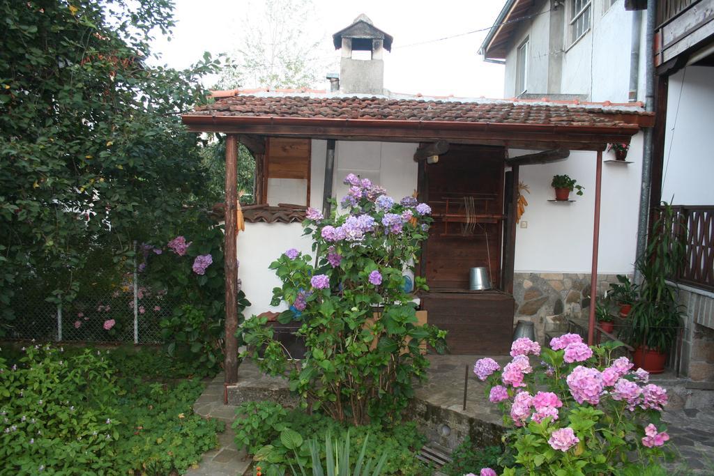 Todorova House Hotel Zlatograd Exterior foto